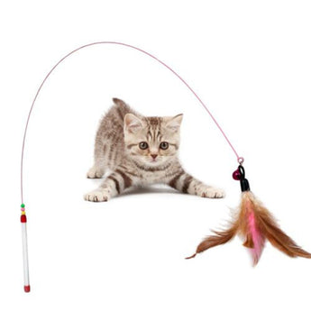Playful Kitten Teasing Feather Toy